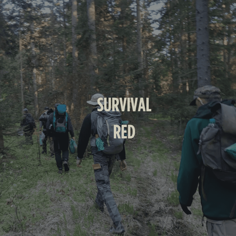Survival Red - 1 - Pierwsze Smoki