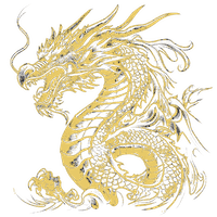 Złoty Smok - Najlepszy uczestnik szkolenia na poziomie Black wybrany przez instruktorów.