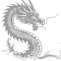 Srebrny Smok - Najlepszy uczestnik szkolenia na poziomie Black wybrany przez grupę.