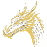 Młody Złoty Smok - Najlepszy uczestnik szkolenia na poziomie Red wybrany przez instruktorów.