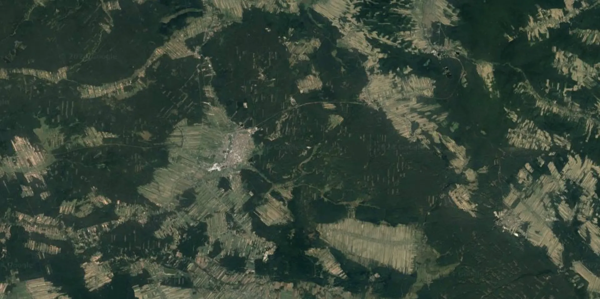 2. Puszcza Solska i Lasy Janowskie